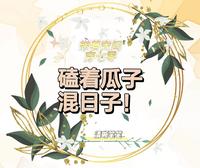 磕着瓜子混日子清晰笔笔