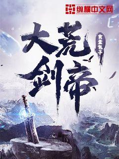 大荒剑帝 无错版